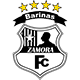 Logo ZAMORA Futbol